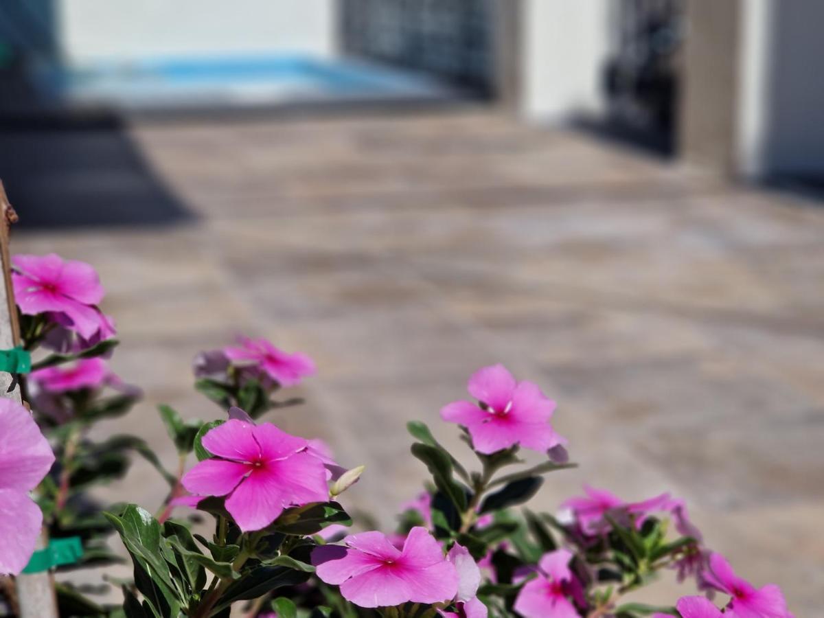 Del Parque Flats Balneario De Pina Villa Málaga Buitenkant foto